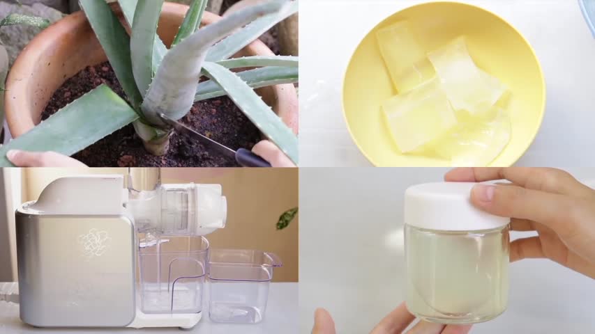 How to Make Aloe Vera Gel at Home From Scratch